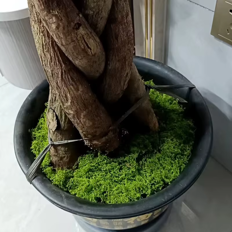 Plantes vertes artificielles en Polyester