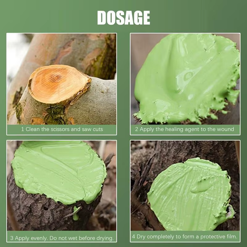 Pâte découpée pour bonsaï