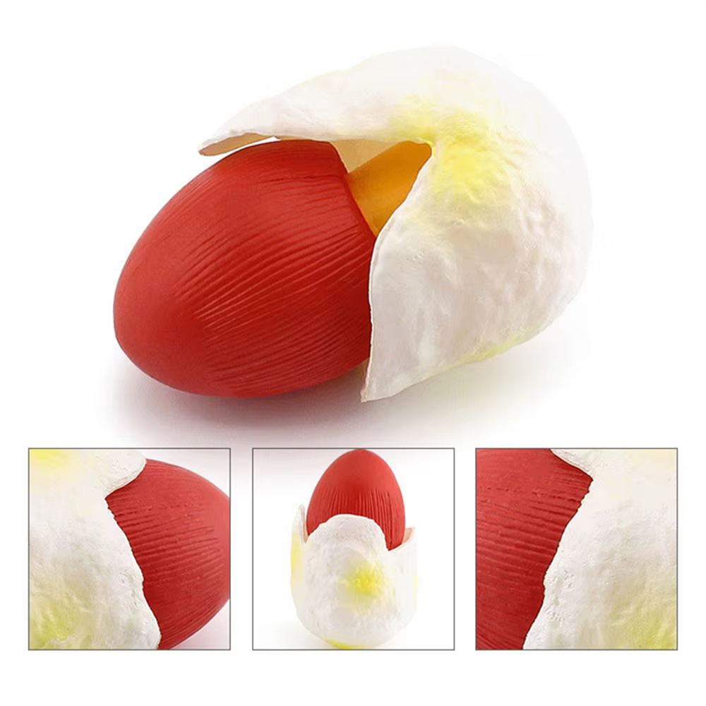 Figurines de champignons modèle végétal Matsutake Oyste Simulation artificielle champignon Pleurotus plante