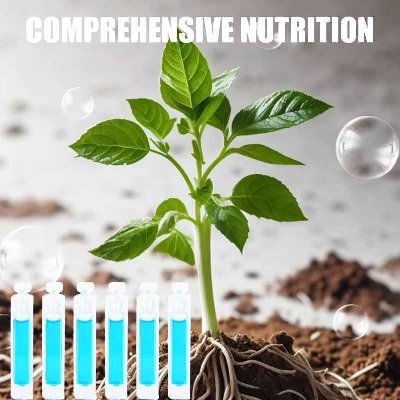 Solution nutritive pour plantes concentrées