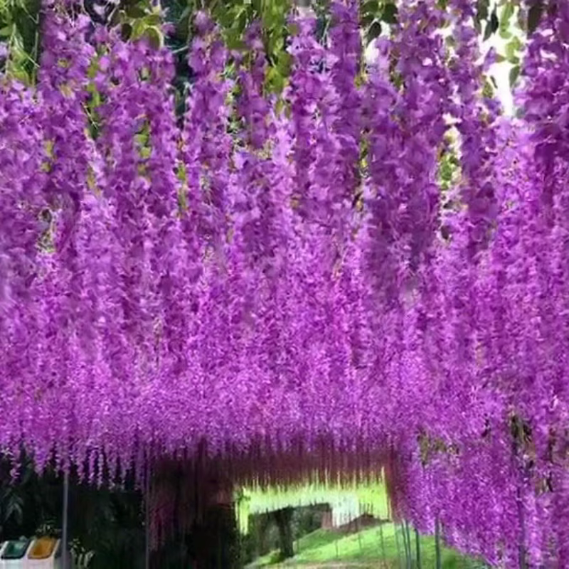 Fleurs de glycine artificielles