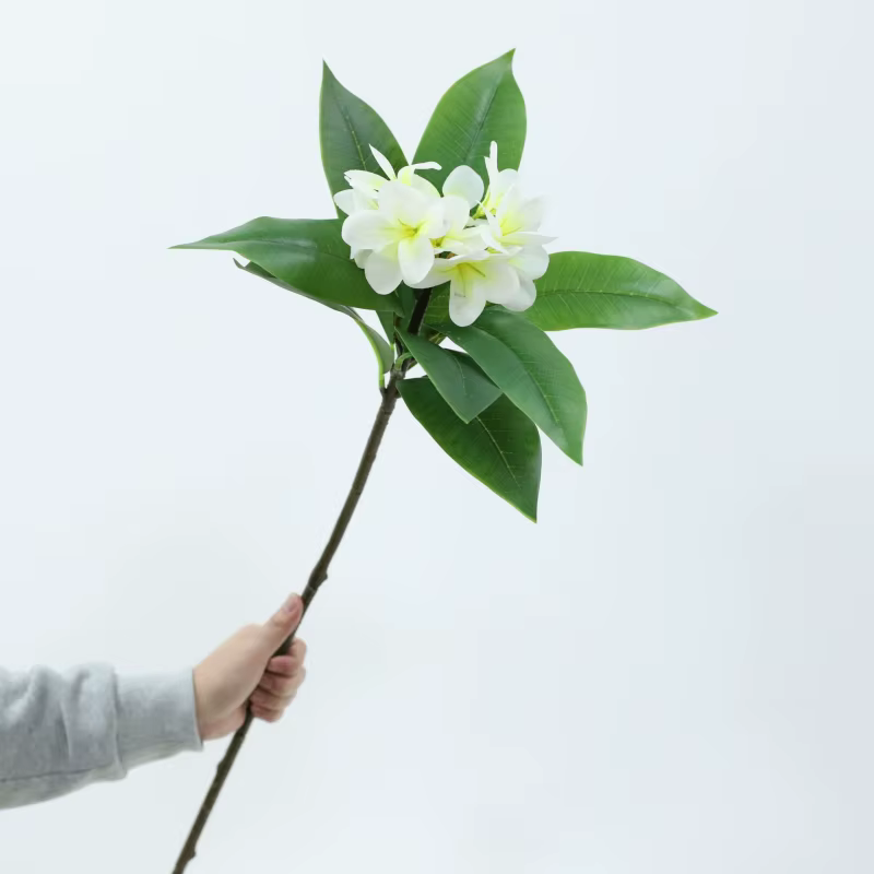 Impression 3D Main Sensation Frangipanier Fleurs Branche