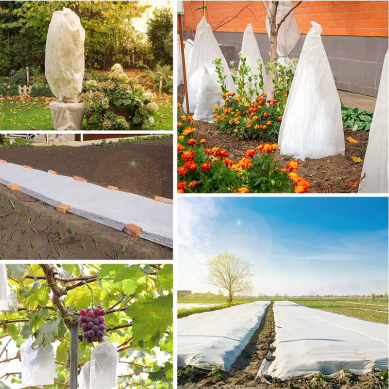 Couverture pour plantes d'hiver