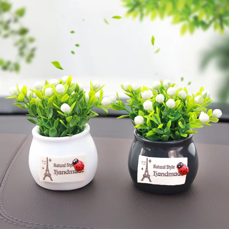 Plante porte-bonheur en pot