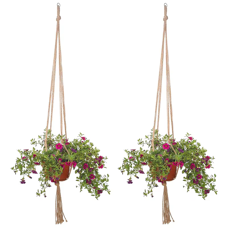Pot de plantes suspendu