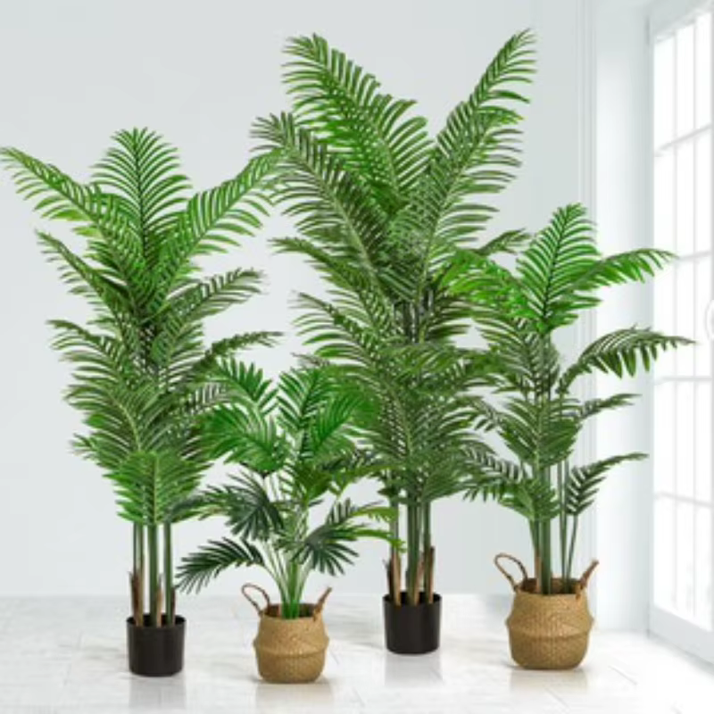 Simulation plante verte Areca