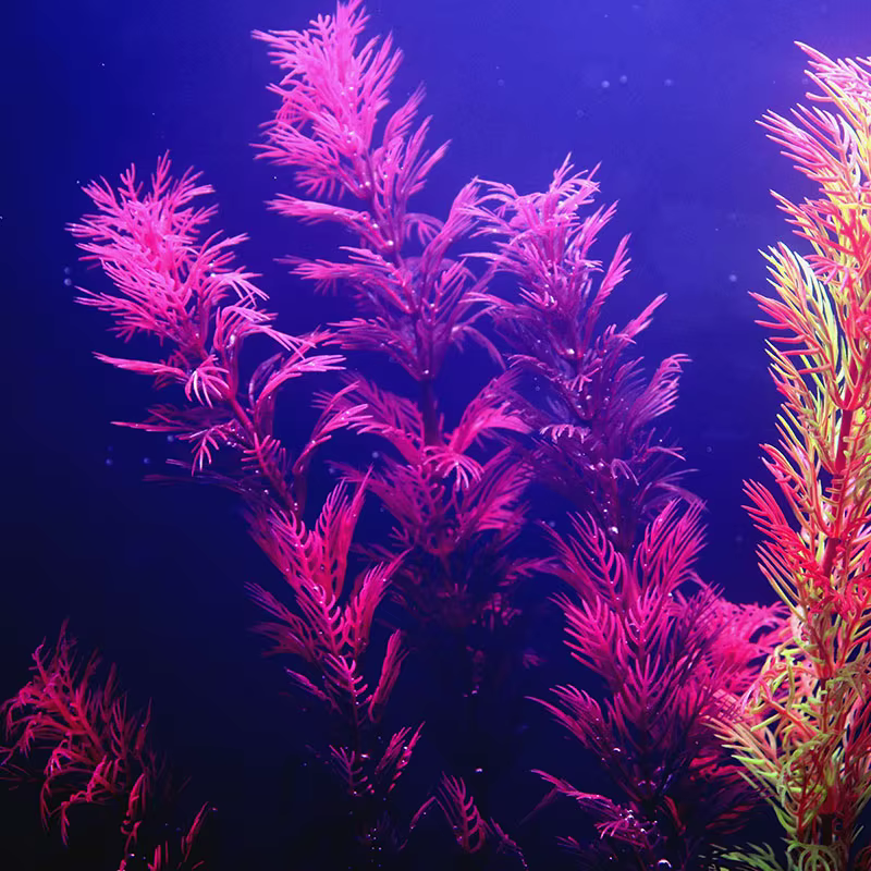 Plantes d'aquarium artificielles sous-marines multiples