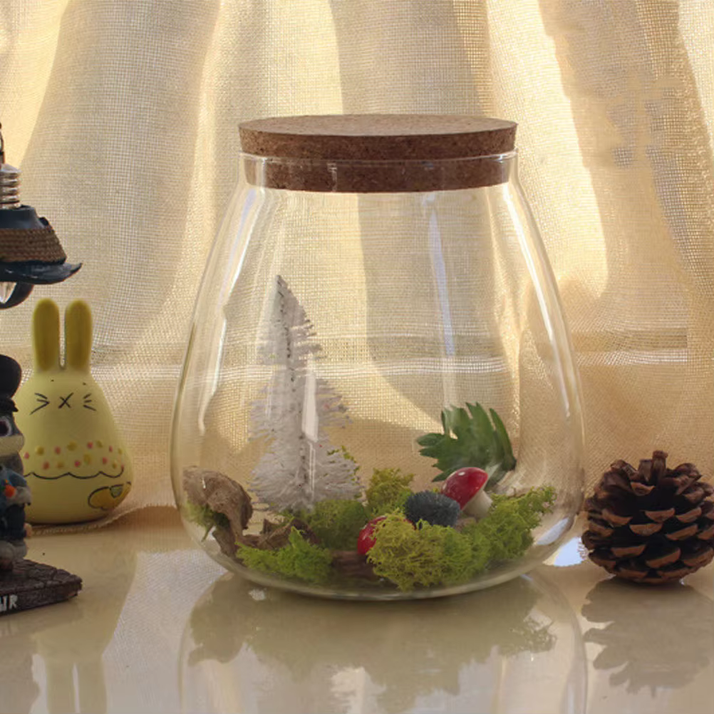 Bocaux de Terrarium en Verre avec Bouchon de Liège