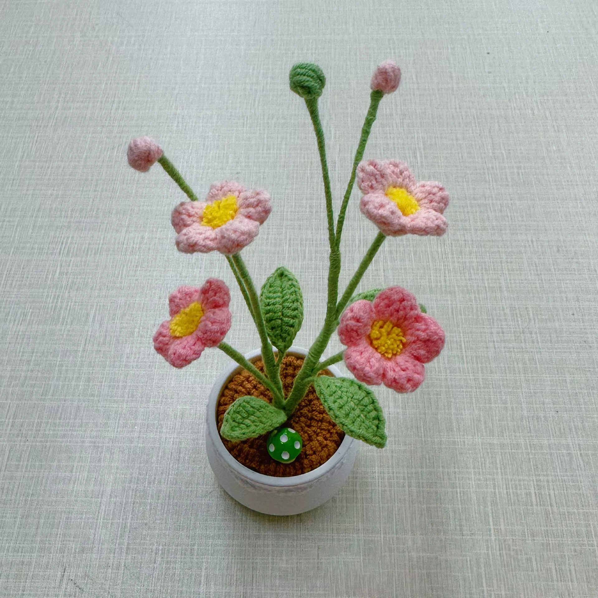 Pot de plante en crochet Oxalis fini à la main