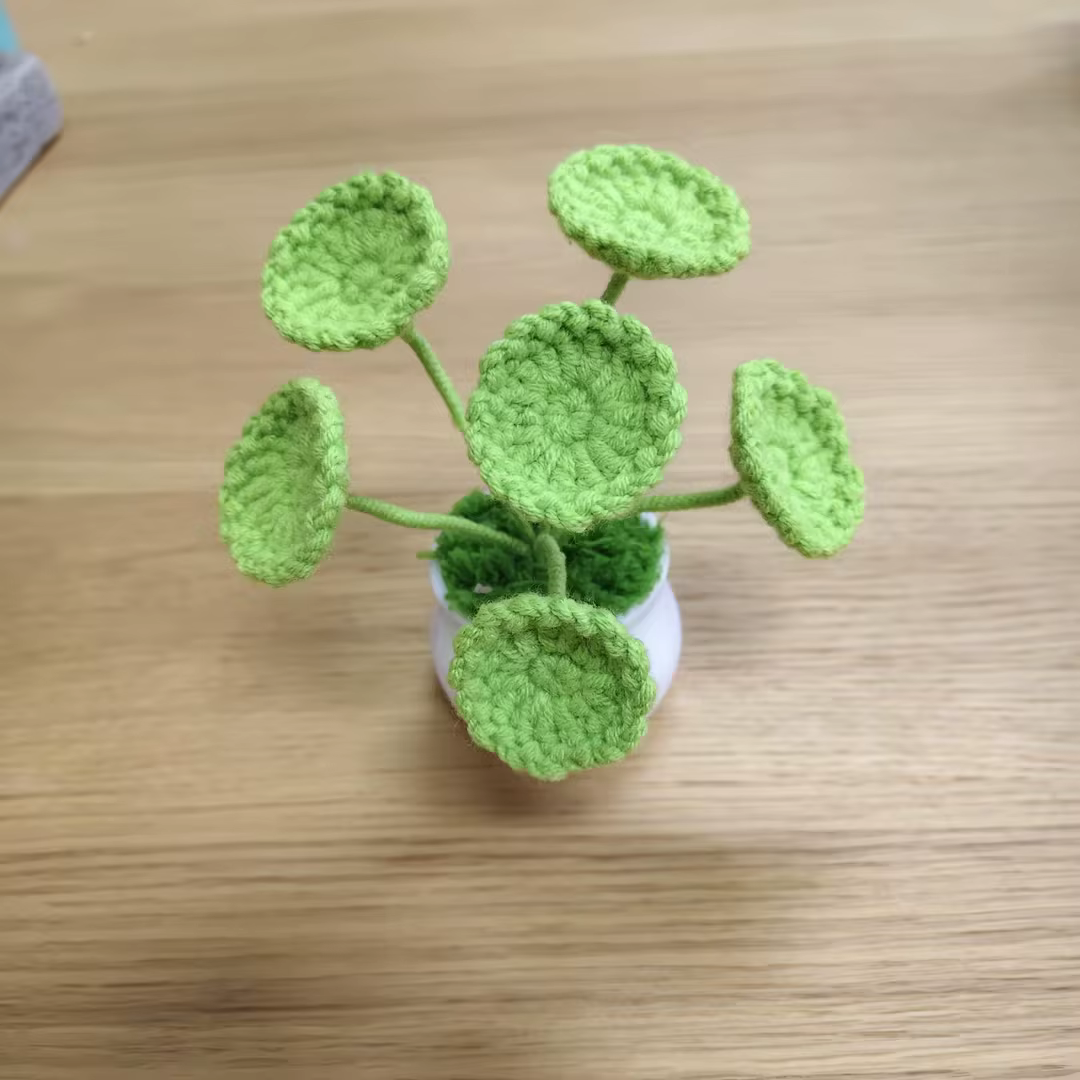 Joli pot de plante artificielle en crochet
