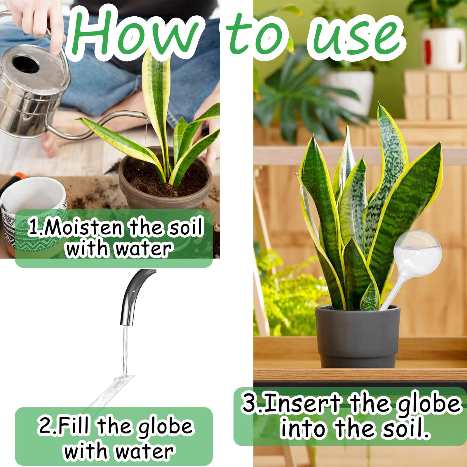 1 paquet de globe d'arrosage transparent pour plantes