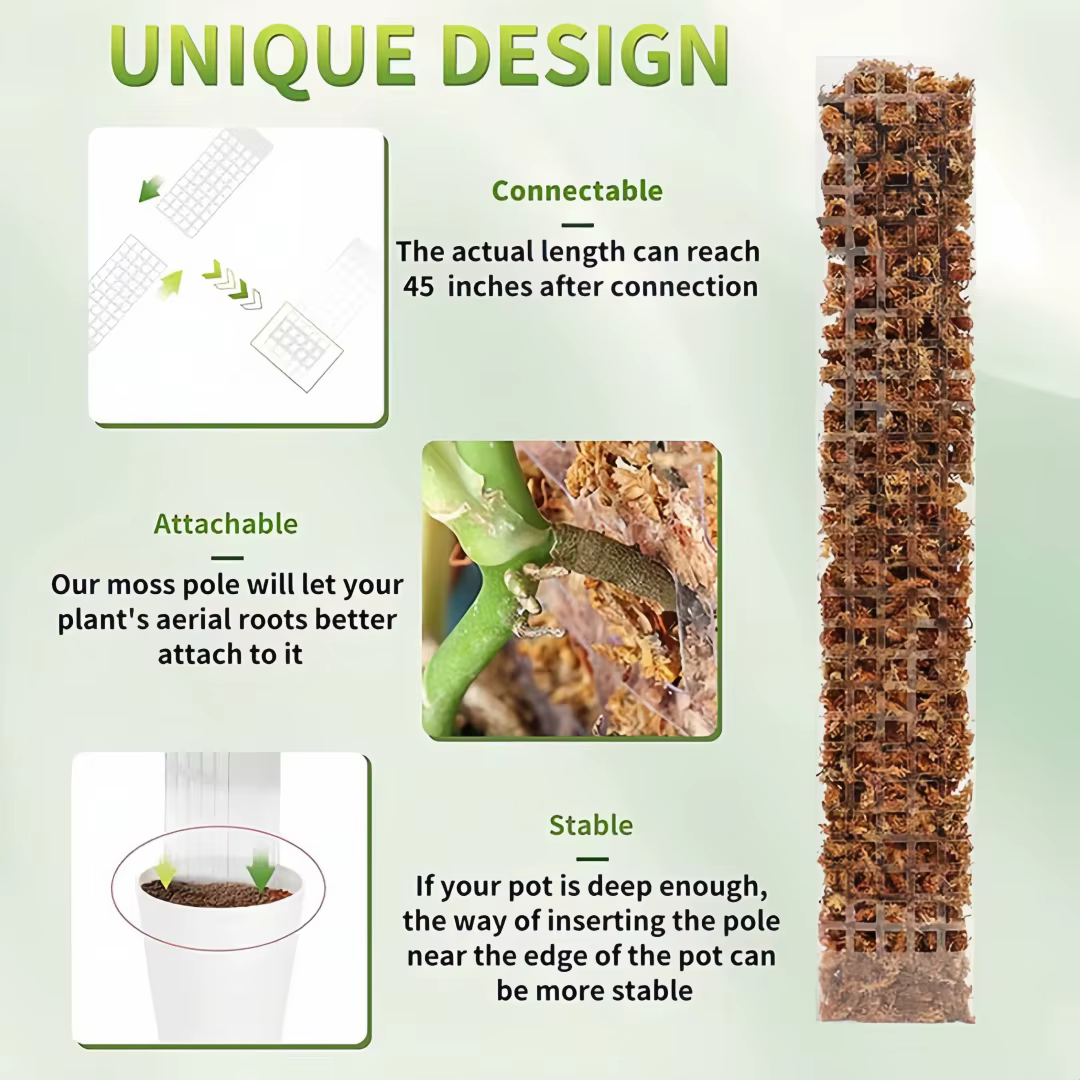 Support de plantes en plastique