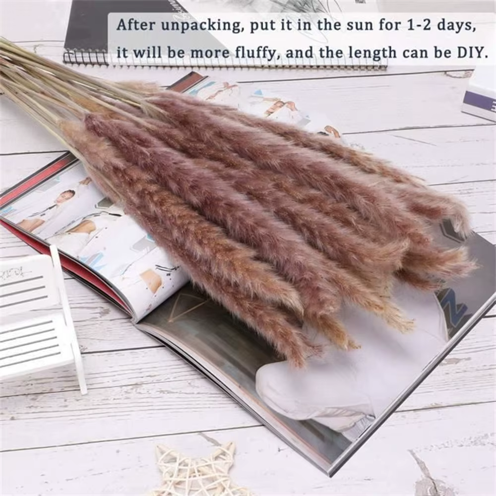 100 pièces/lot crème Pampas herbe moelleux chambre Phragmites décoration naturel lapin queue