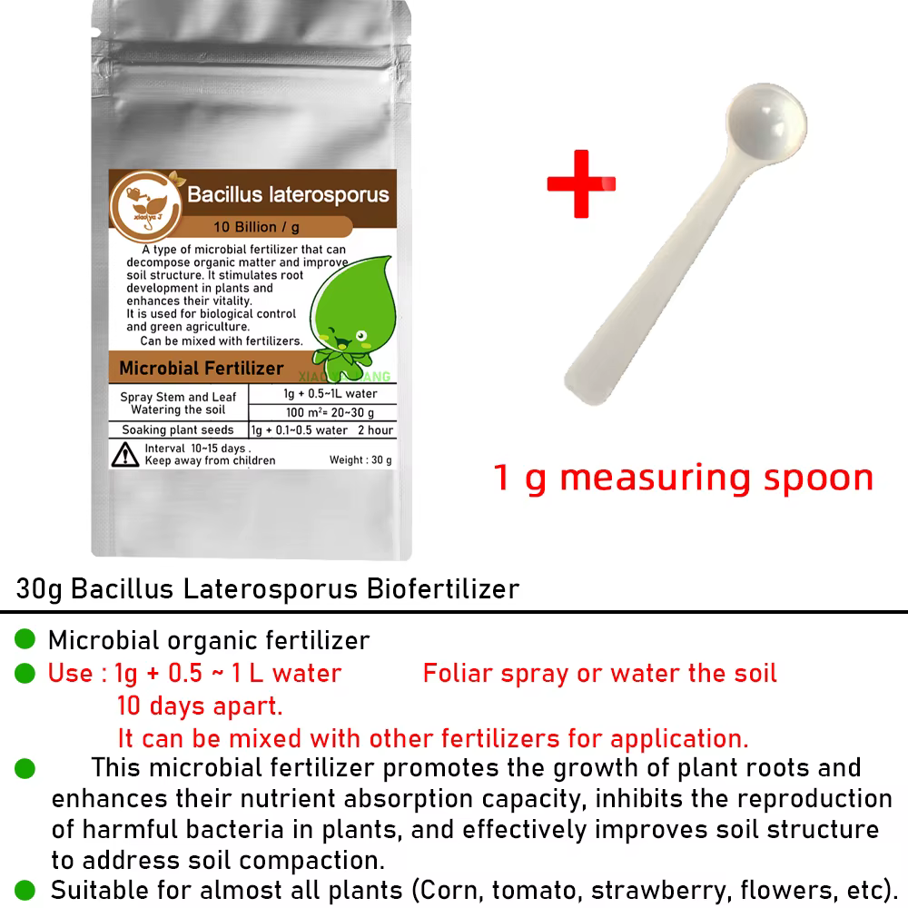 Engrais organique vert Bacillus Lateralosporus