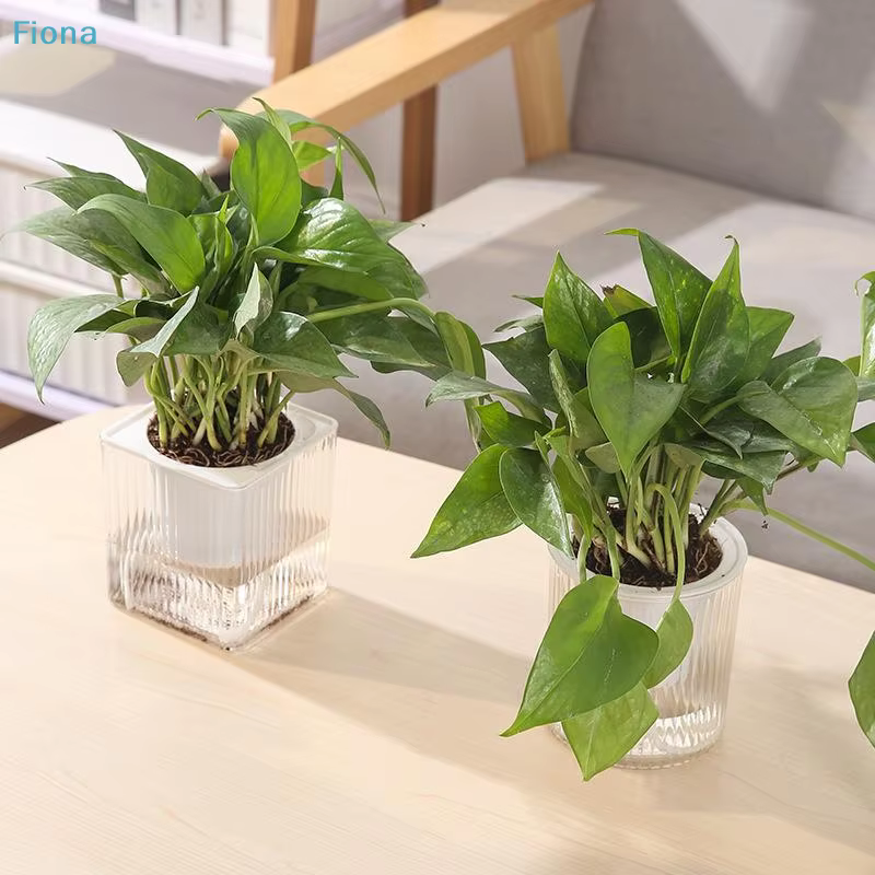 ⛟ Pot auto-arrosant carré avec panier intérieur