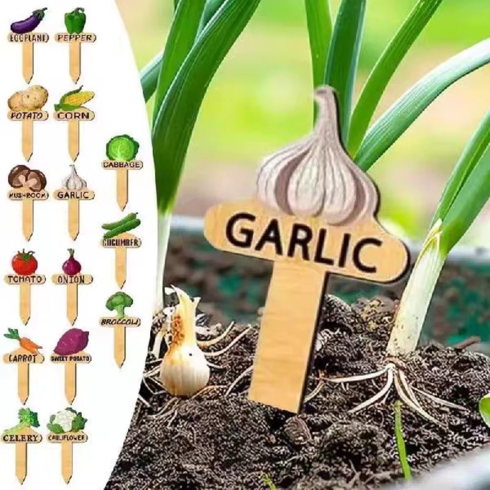 Lot de 15 étiquettes en bois pour plantes - Marqueurs de jardin faciles à coller pour le jardinage extérieur et la