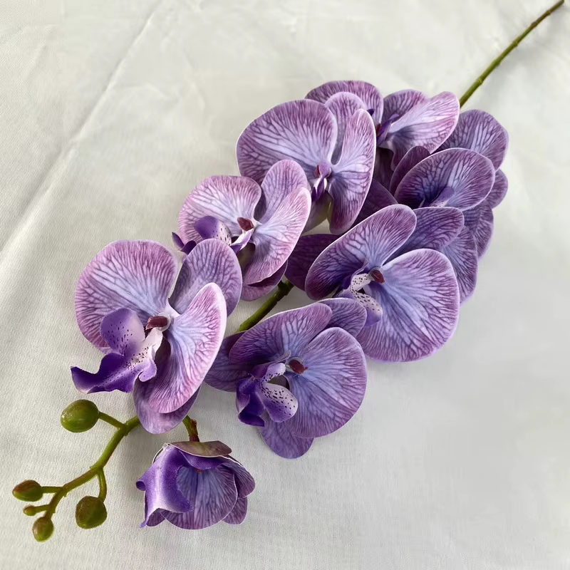 Orchidée française papillon artificielle pour la décoration de la maison
