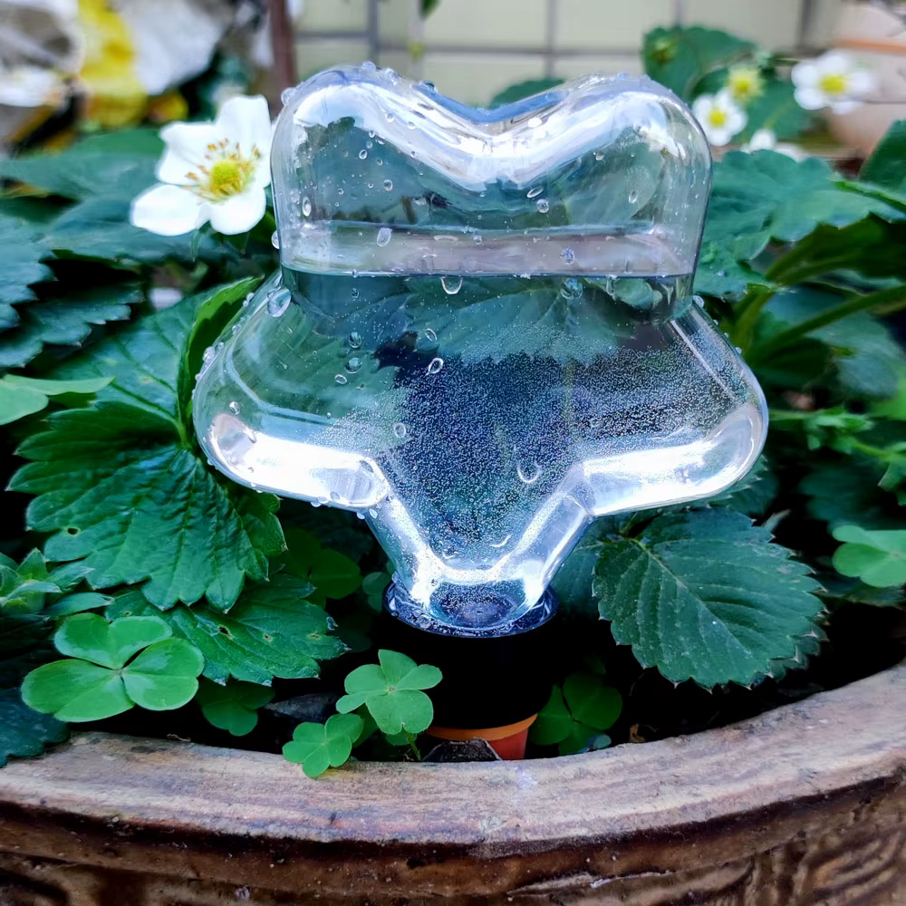 Dispositifs d'arrosage automatique pour plantes