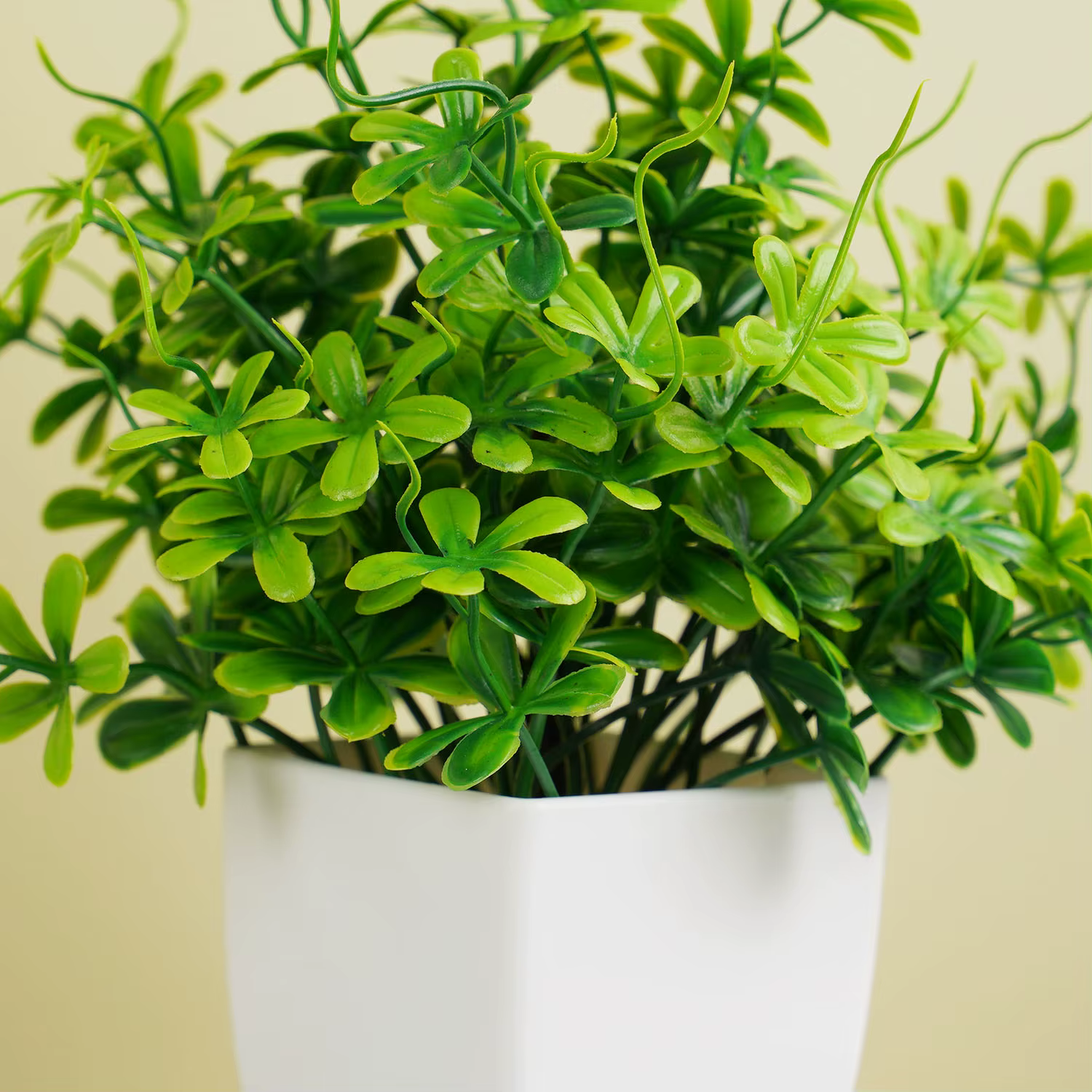 Bonsaï vert Él, fausse plante d'eucalyptus