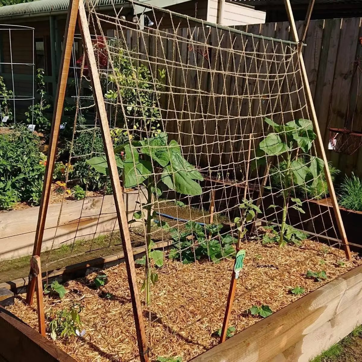 Filet en treillis de Support pour plantes