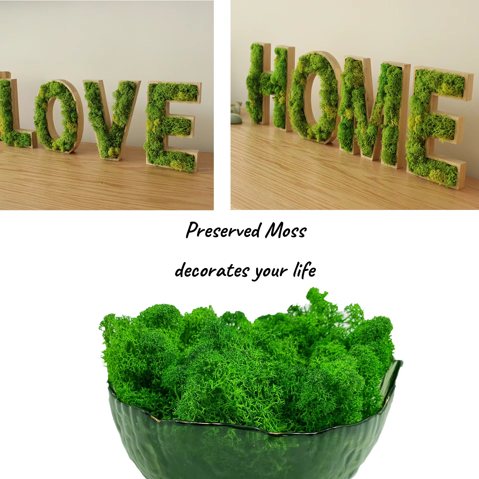 Mousse artificielle pour plantes en pot