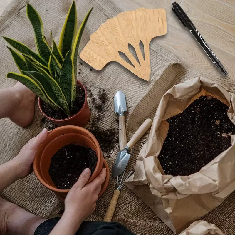 Étiquettes de plantes en bambou