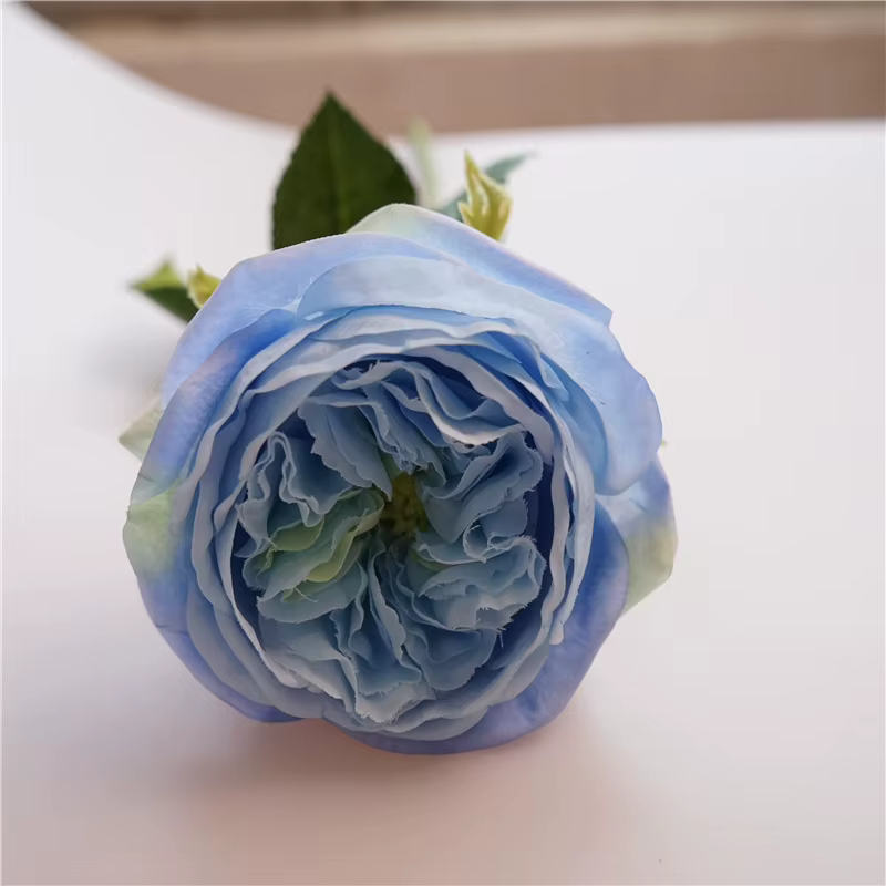 Simulation de fleurs de rose au toucher réel