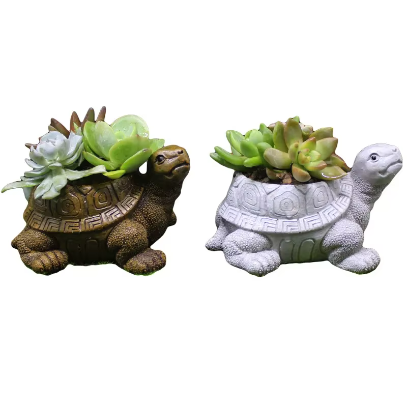 Pot de fleur succulente tortue de dessin animé