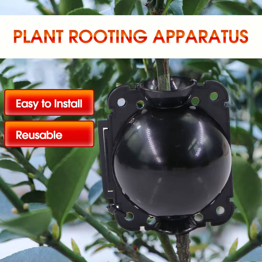 Boule d'enracinement de plantes réutilisable de 5cm