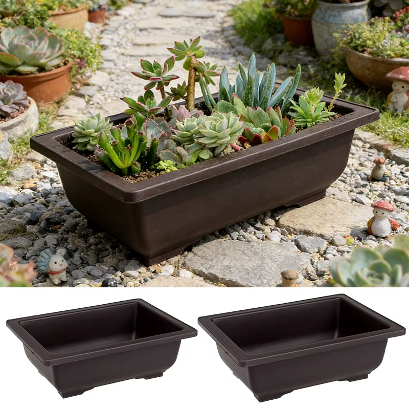 Pots à Bonsaï Rectangulaires pour Plantes Grasses