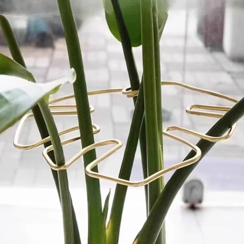Support de tige de plante à usage intérieur et extérieur