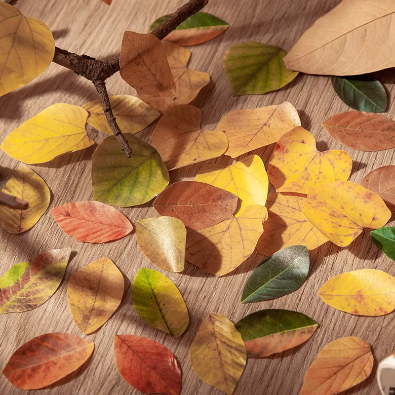 Série de feuilles d'automne jaunes 50 pièces