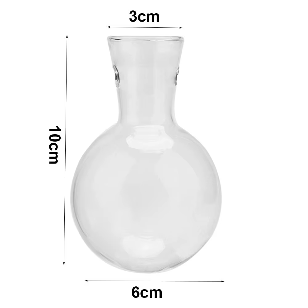 Vases de plantes hydroponiques