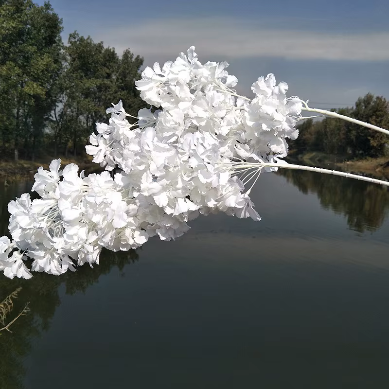Branches de pouvez-vous psophile Blanches