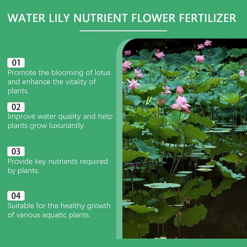 Bol de pollen de lotus favorise la croissance de la santé des plantes