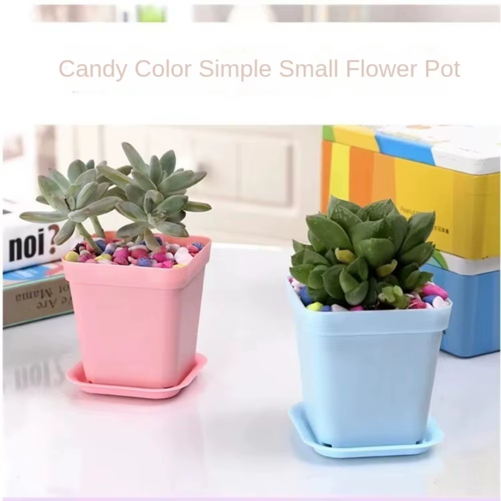 Mini pot de fleurs carré coloré pour le jardinage
