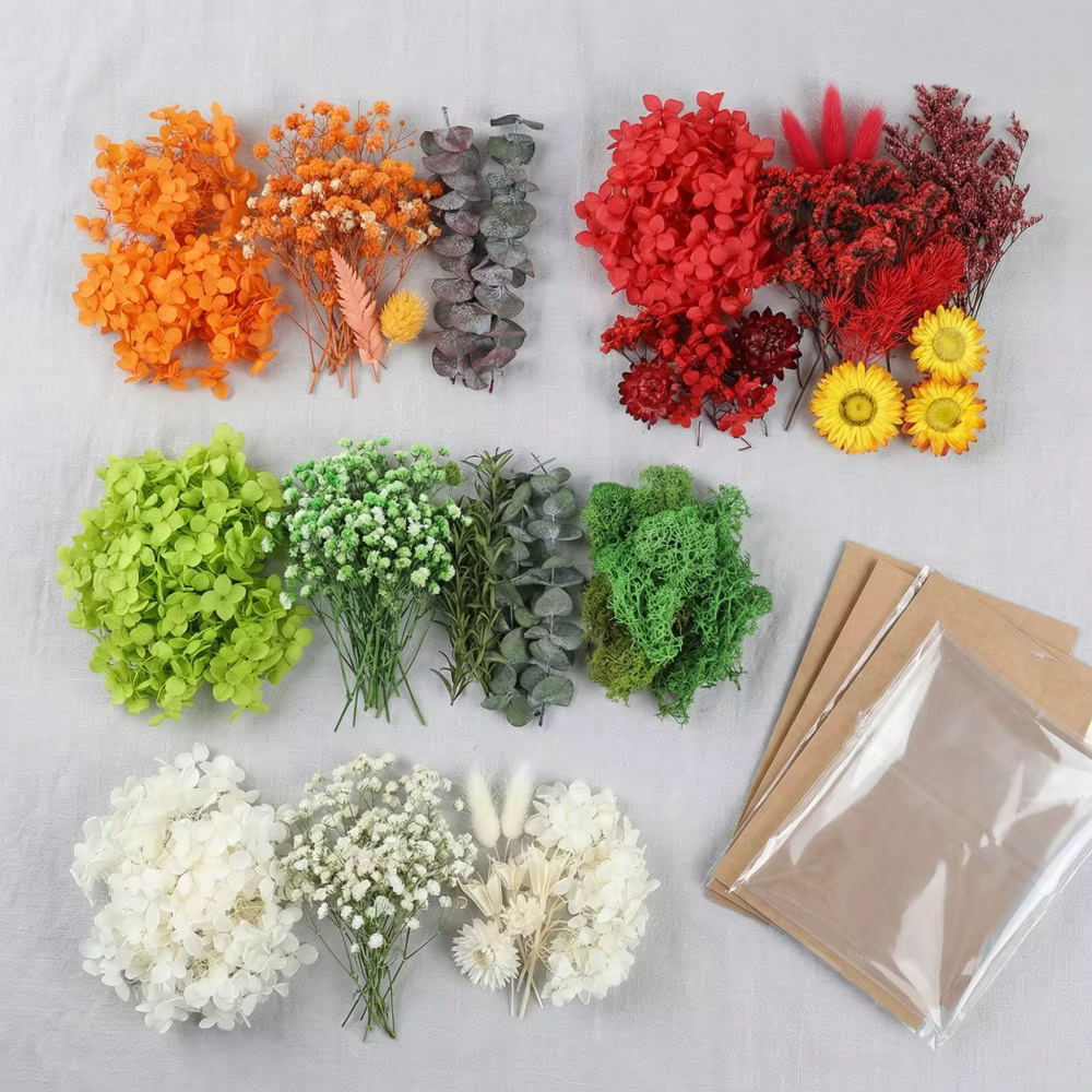 Fleurs d'hortensia naturelles préservées en vrac
