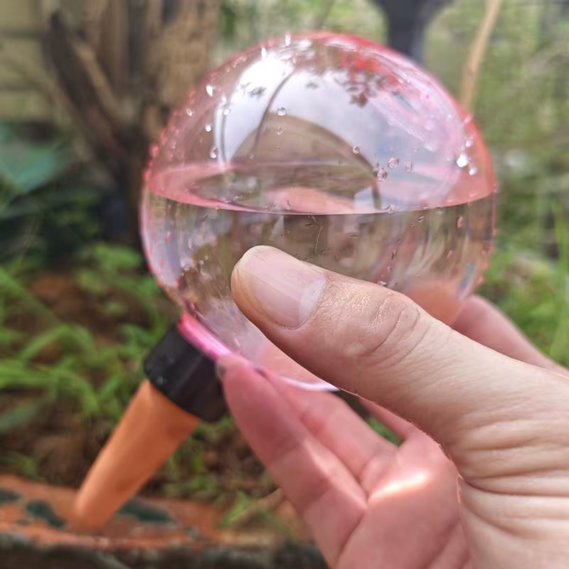 Système d'arrosage automatique 1 pièce pour plantes domestiques