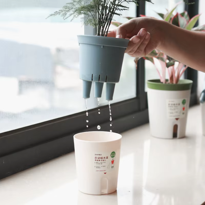 Pots de plantes à arrosage automatique