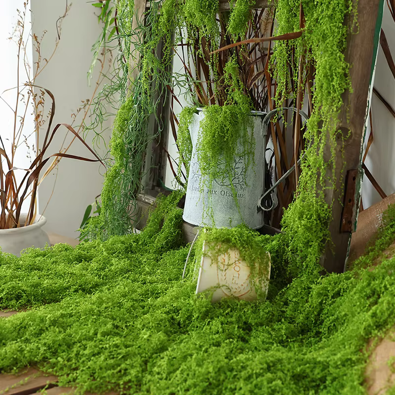 30/50/100g plantes vertes artificielles mousse herbe maison salon jardin décoration Mini paysage fausse fleur bricolage artisanat
