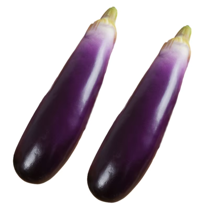 Simulation d'aubergines artificielles en mousse souple