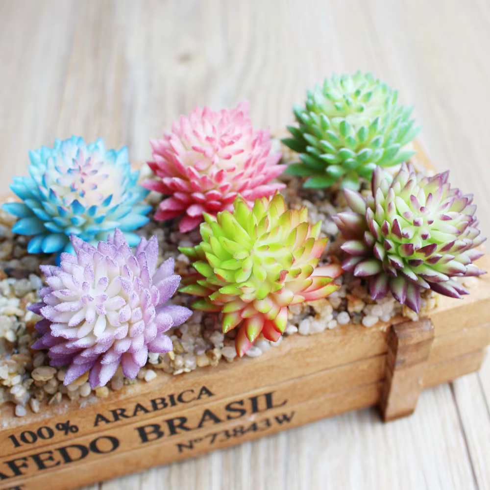 Mini plantes succulentes artificielles