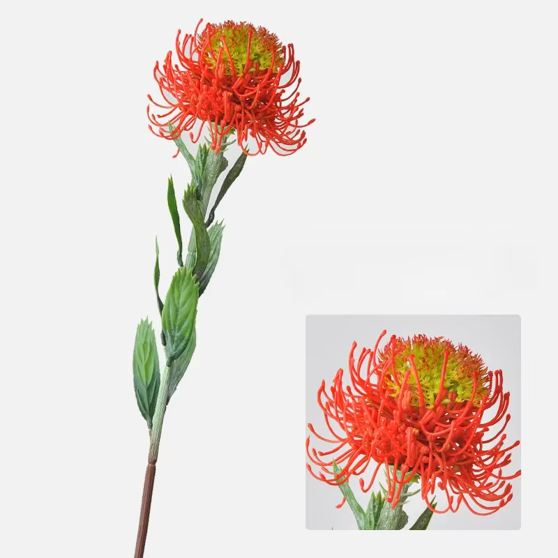 Fleur artificielle sud-africaine pour décoration de mariage