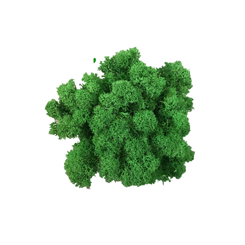Plante Verte Artificielle de Qualité