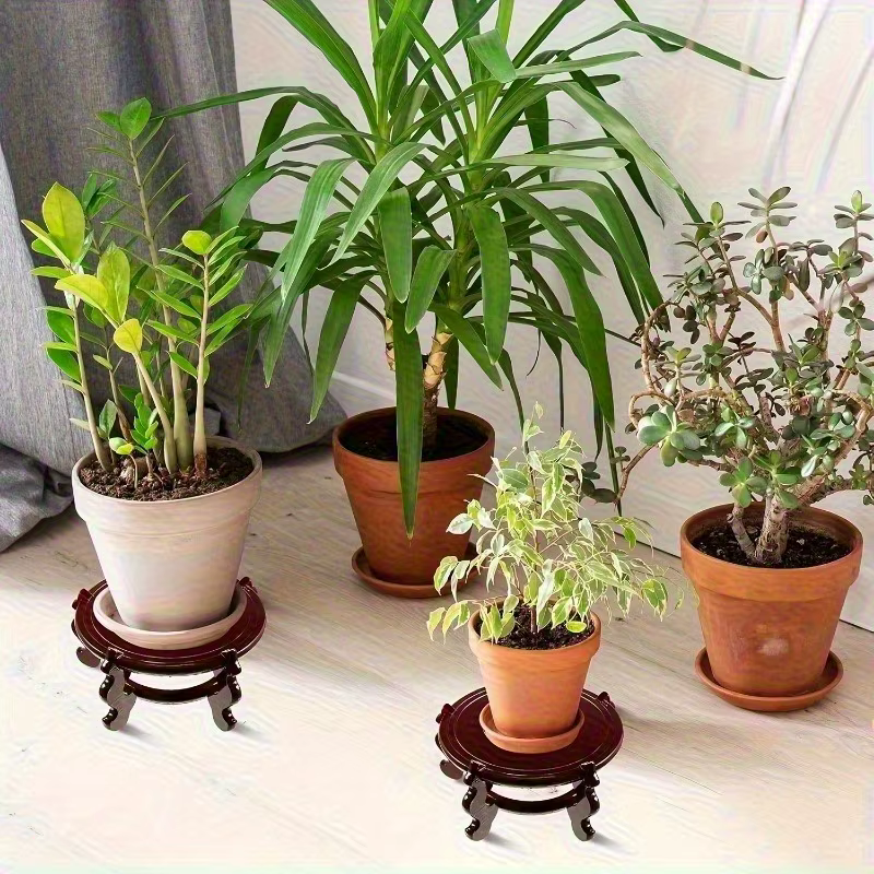 Support pour plantes en bois élégant avec Base ornée