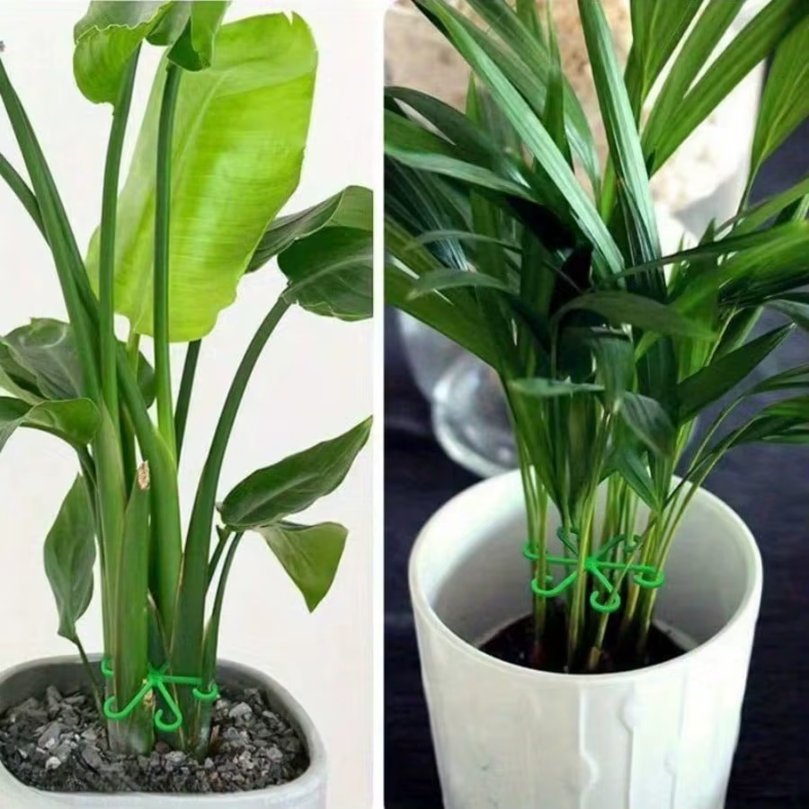 Cadre de Support Anti-vol pour plantes 4 pièces
