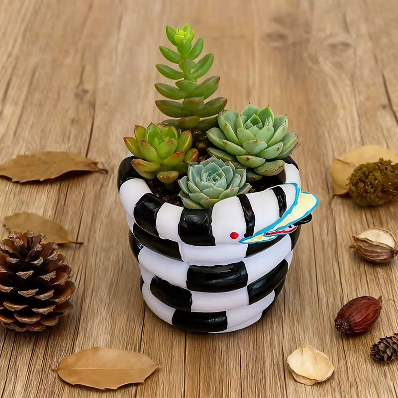 Pot de fleurs en spirale créatif