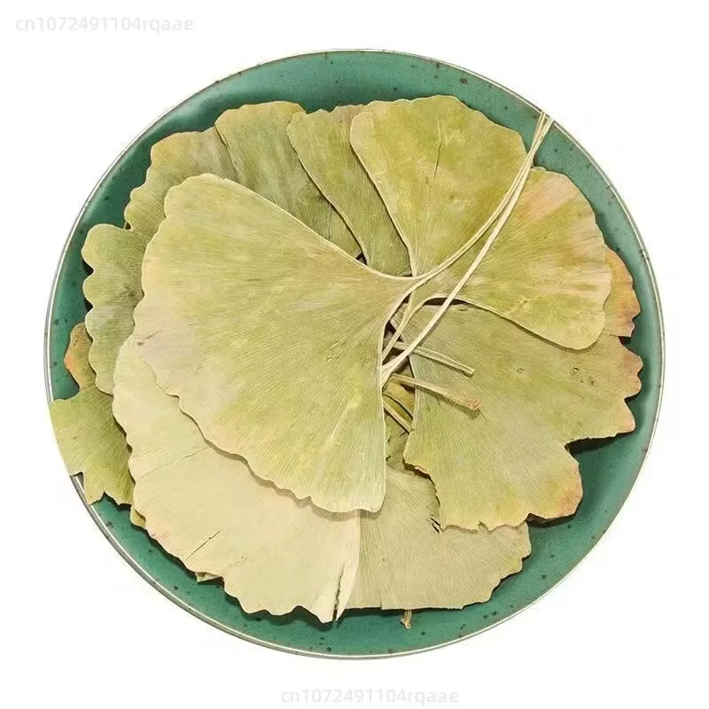 100/250/500g Feuilles de Ginkgo Biloba Séchées Naturelles Pour Remplissage de Vases