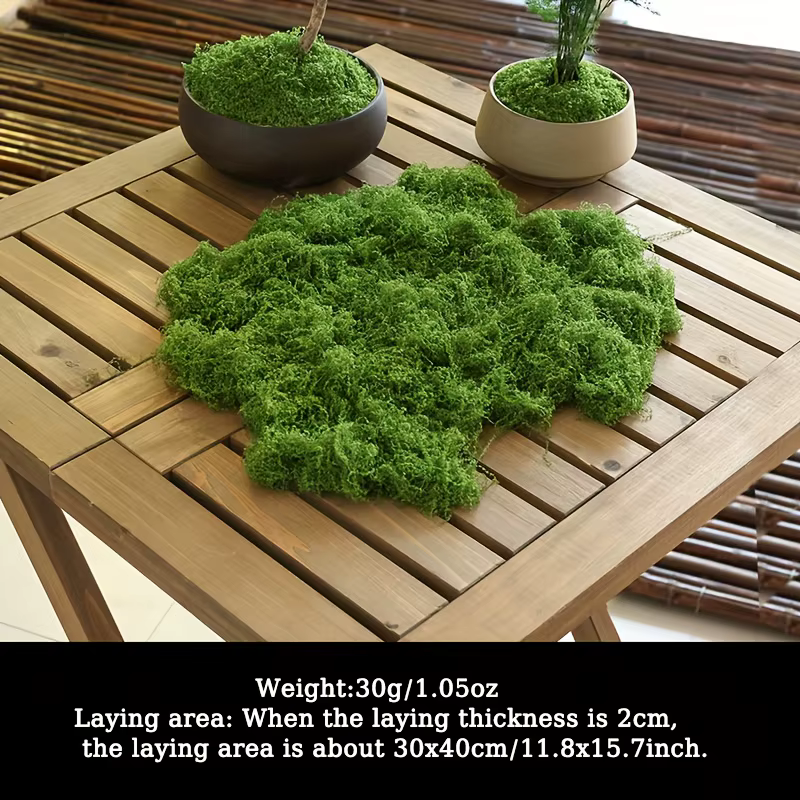 Mousse artificielle de simulation de micro paysage pour plantes en pot