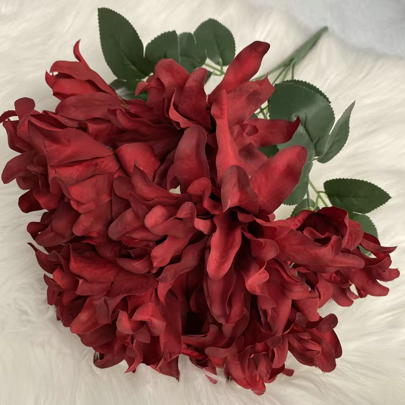 Simulation de fleur de Dahlia à 7 têtes